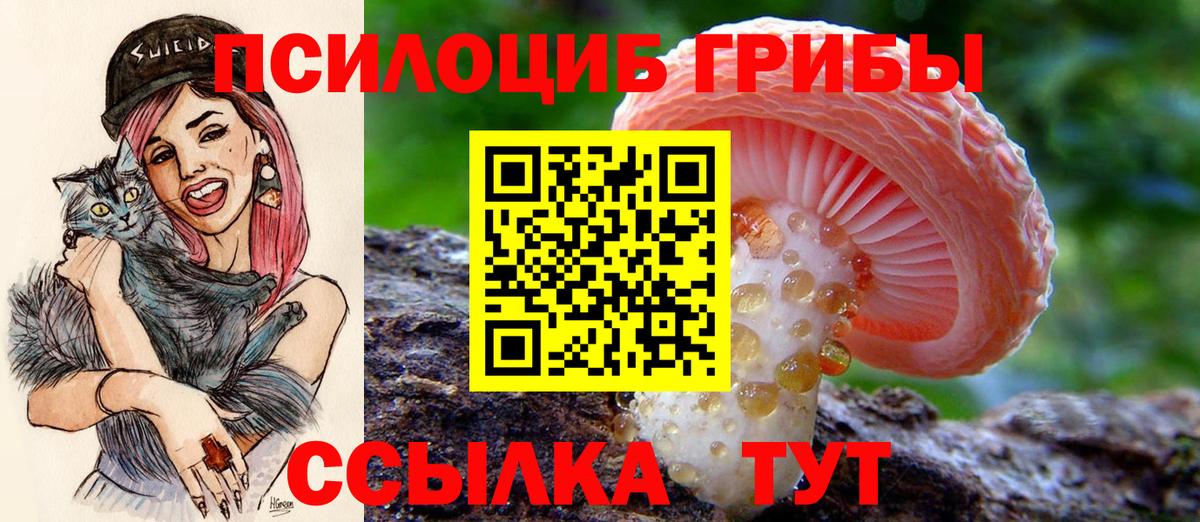 Псилоцибиновые грибы MAGIC MUSHROOMS  Вход с VPN  Первоуральск 